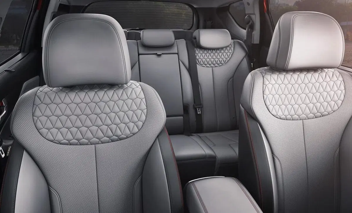 Hyundai Santa Fe (2018-22) (35)