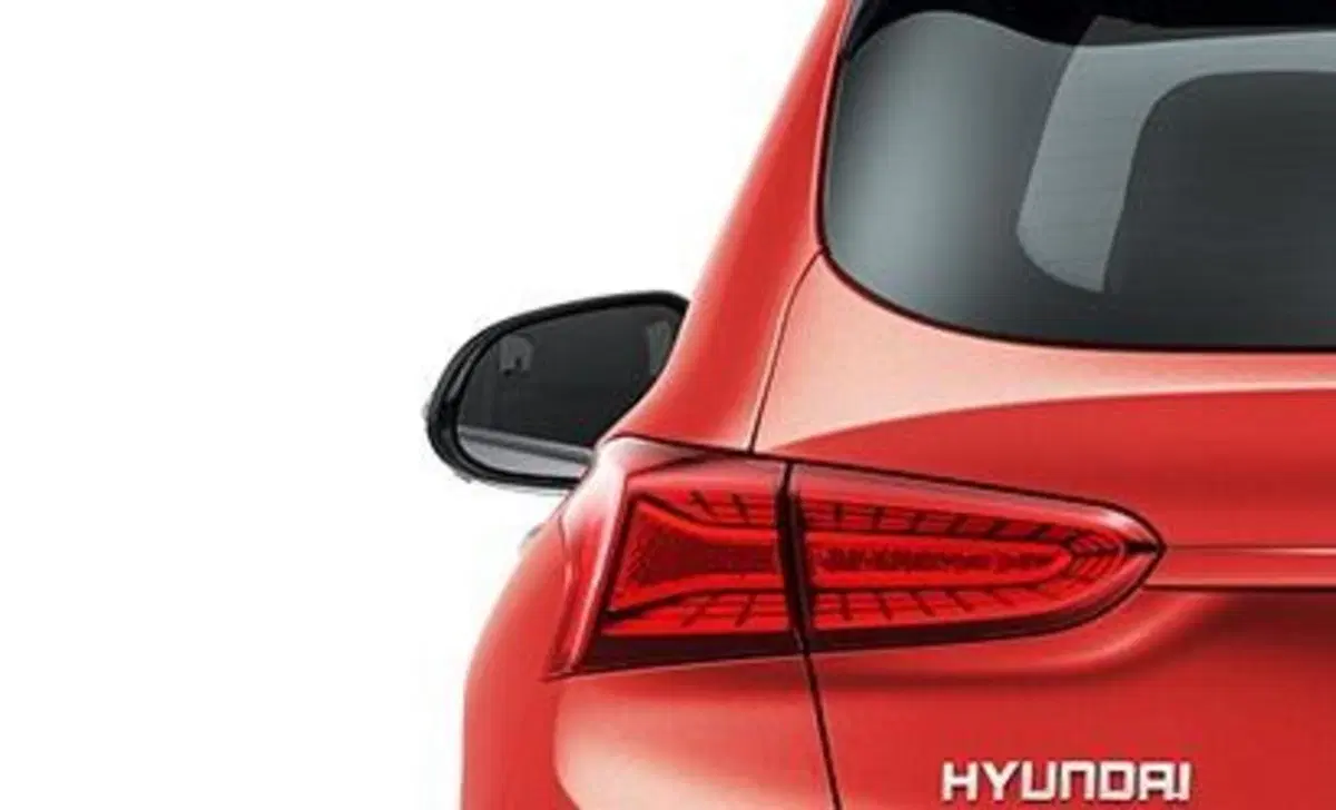 Hyundai Santa Fe (2018-22) (42)