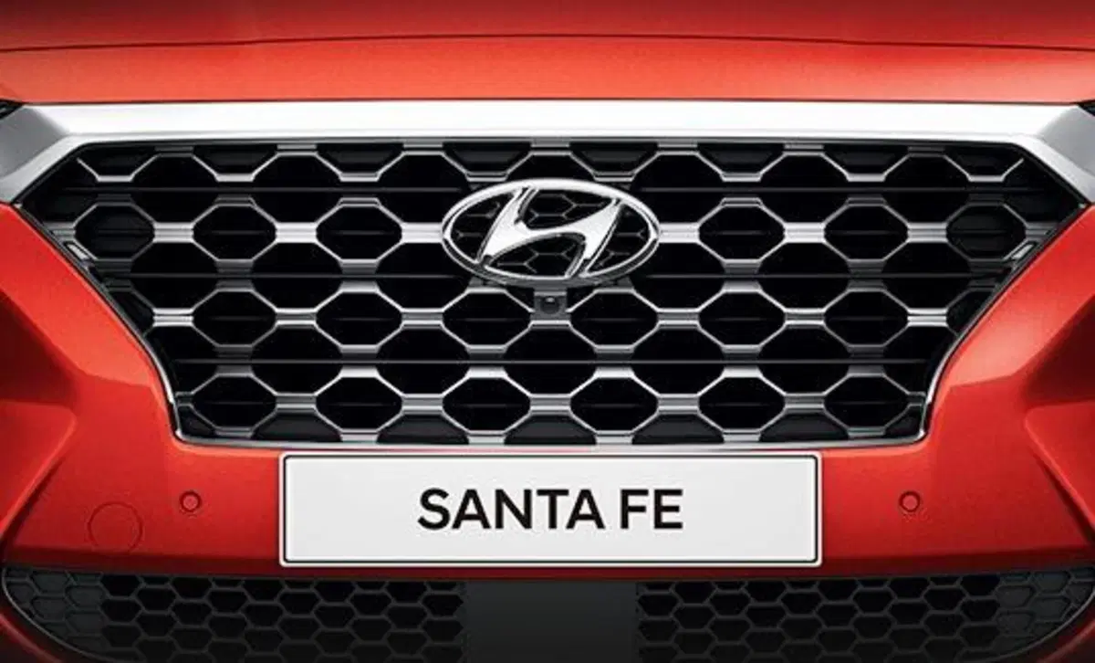 Hyundai Santa Fe (2018-22) (44)