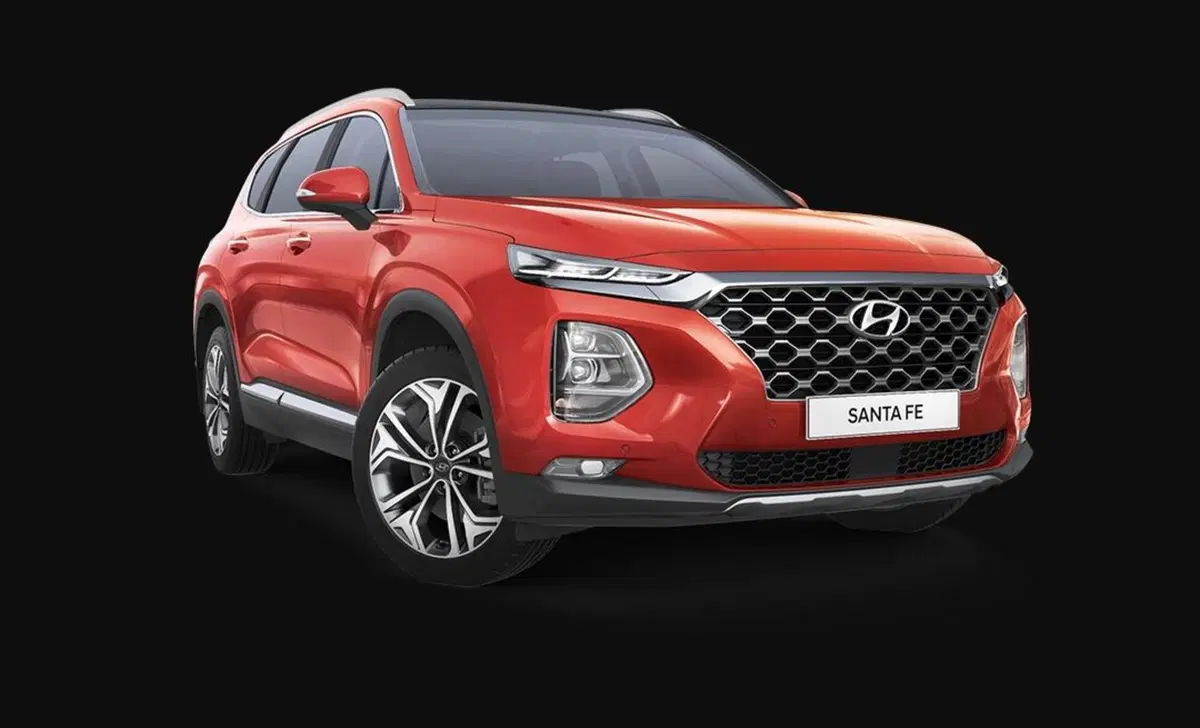 Hyundai Santa Fe (2018-22) (23)