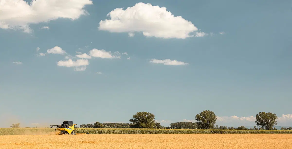 Come si guida una mietitrebbia? Tutti i segreti della New Holland CR8.90 Revelation [Video] (17)