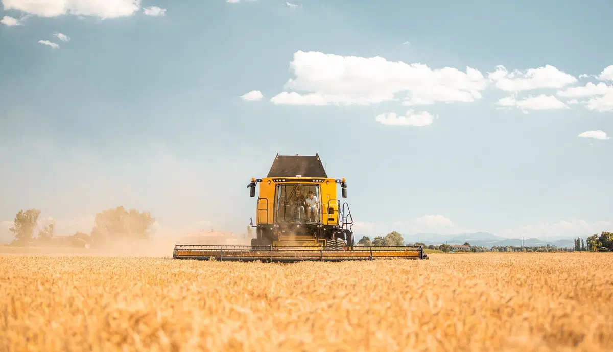 Come si guida una mietitrebbia? Tutti i segreti della New Holland CR8.90 Revelation [Video] (15)