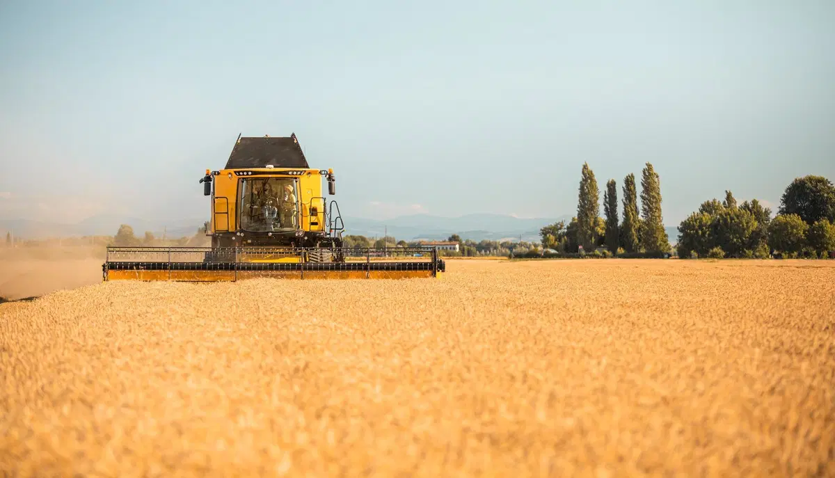 Come si guida una mietitrebbia? Tutti i segreti della New Holland CR8.90 Revelation [Video] (9)