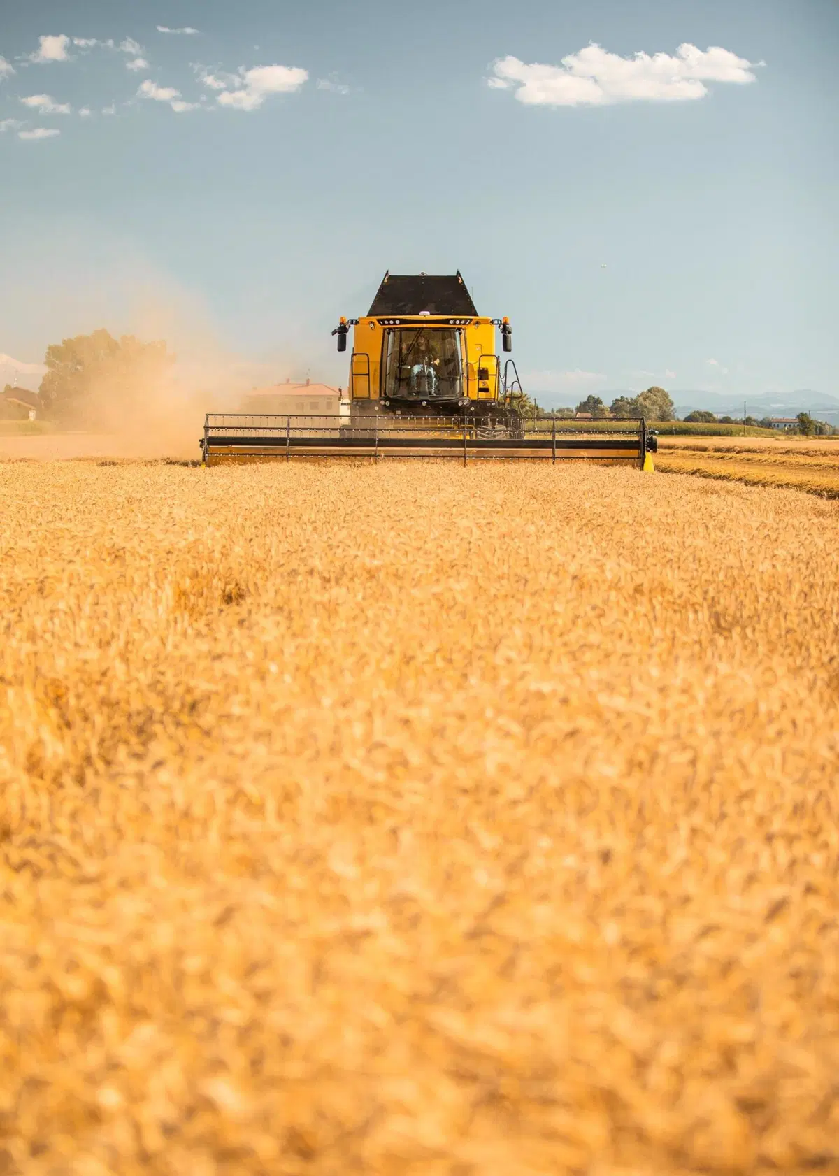 Come si guida una mietitrebbia? Tutti i segreti della New Holland CR8.90 Revelation [Video] (23)