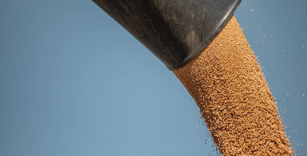 Come si guida una mietitrebbia? Tutti i segreti della New Holland CR8.90 Revelation [Video] (14)