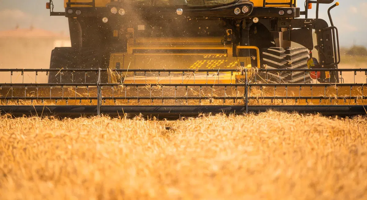 Come si guida una mietitrebbia? Tutti i segreti della New Holland CR8.90 Revelation [Video] (10)