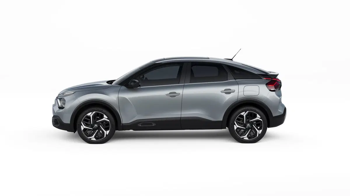 Citroen C4 1.2 puretech You s&s 100cv (19)