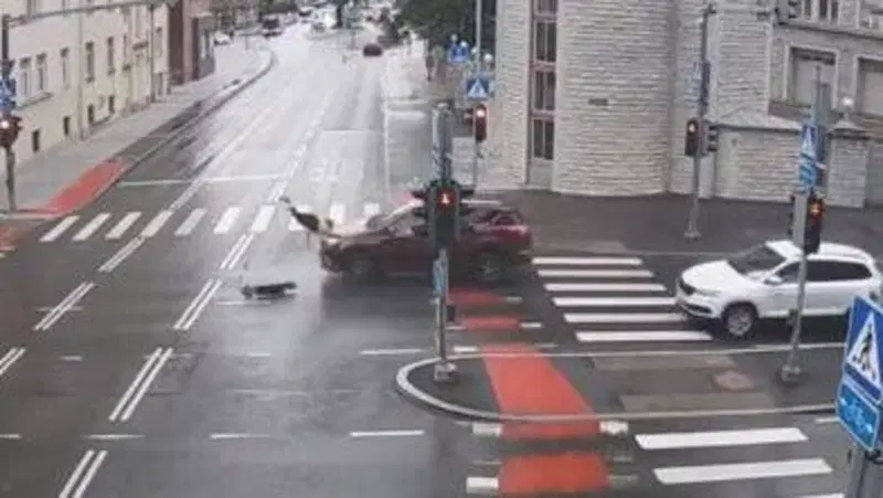 Attraversa (col rosso) l'incrocio in monopattino: volo inevitabile [VIDEO CHOC]