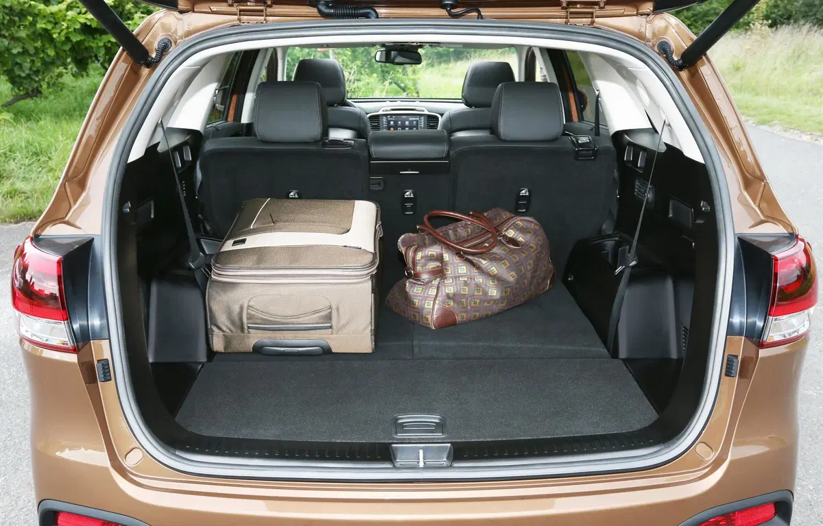 Kia Sorento (47)