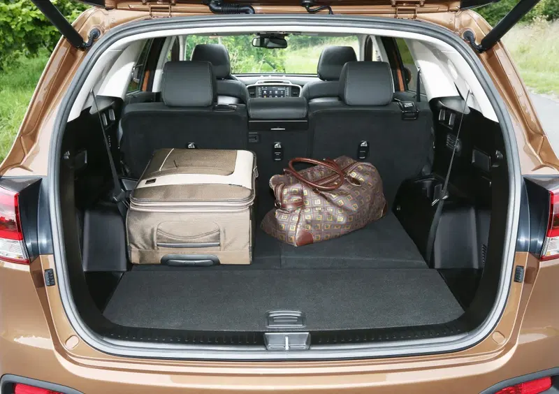 Kia Sorento (47)