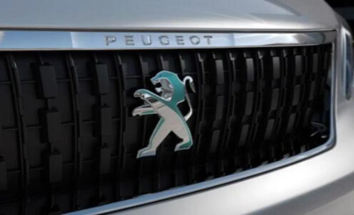 Peugeot e-Expert Furgone (2020-24) (20)