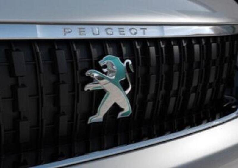 Peugeot e-Expert Furgone (2020-->>) (20)