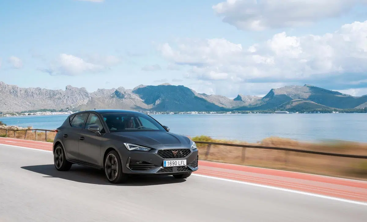 Cupra Leon Leon 2.0 tdi 150cv dsg (22)
