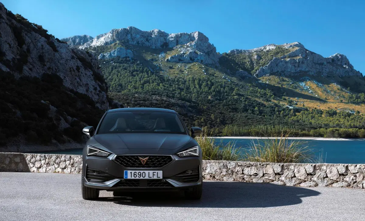 Cupra Leon Leon 2.0 tdi 150cv dsg (24)