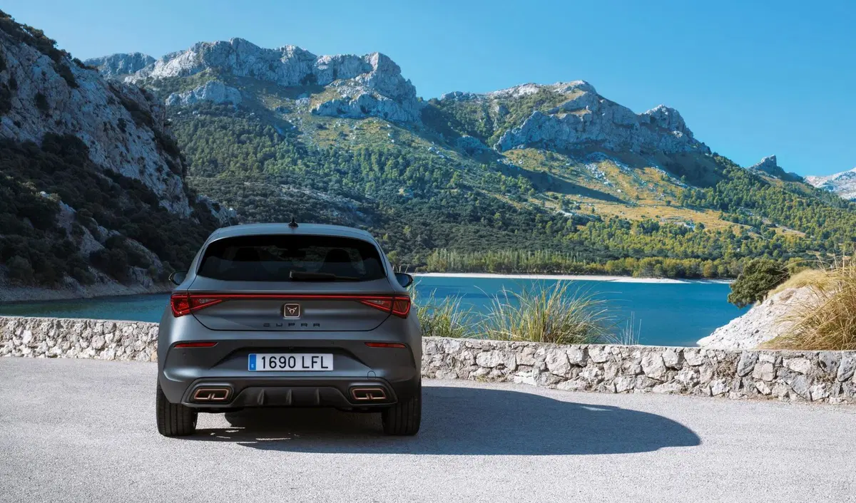 Cupra Leon Leon 2.0 tdi 150cv dsg (26)