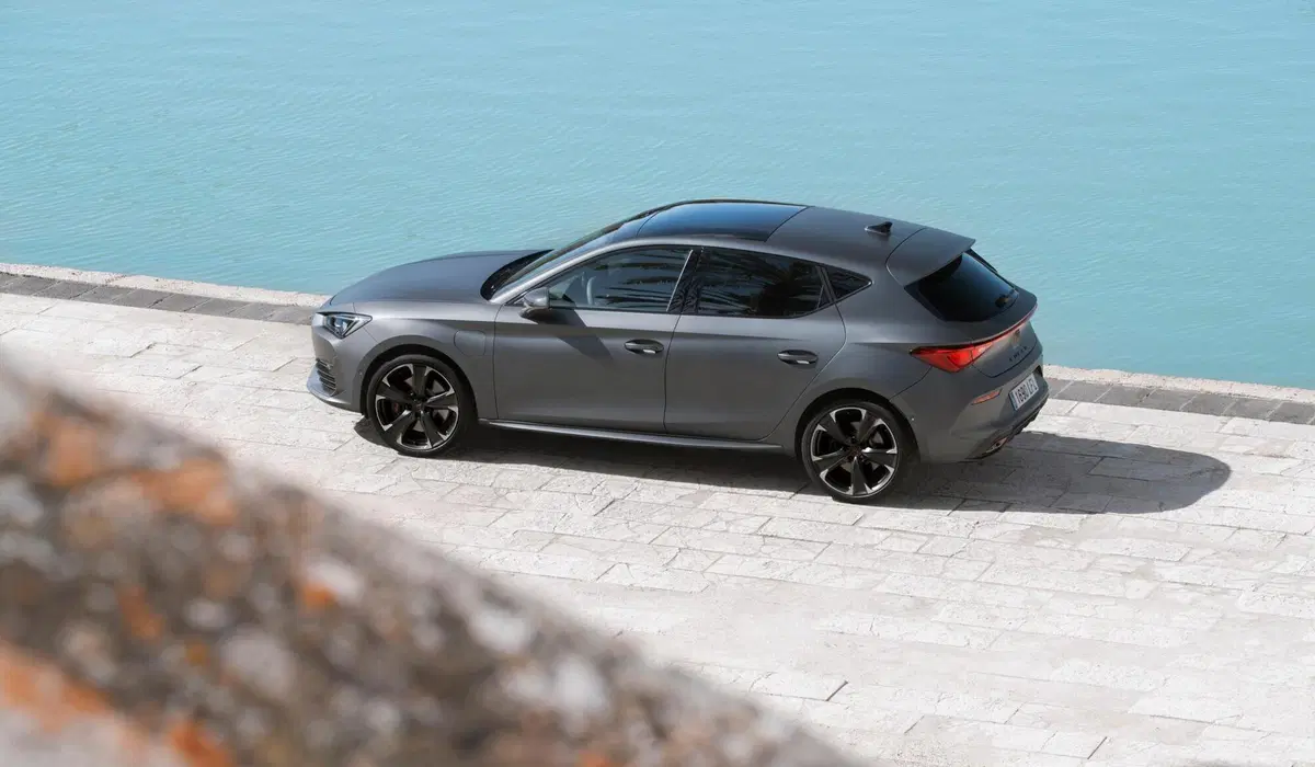 Cupra Leon Leon 2.0 tdi 150cv dsg (28)