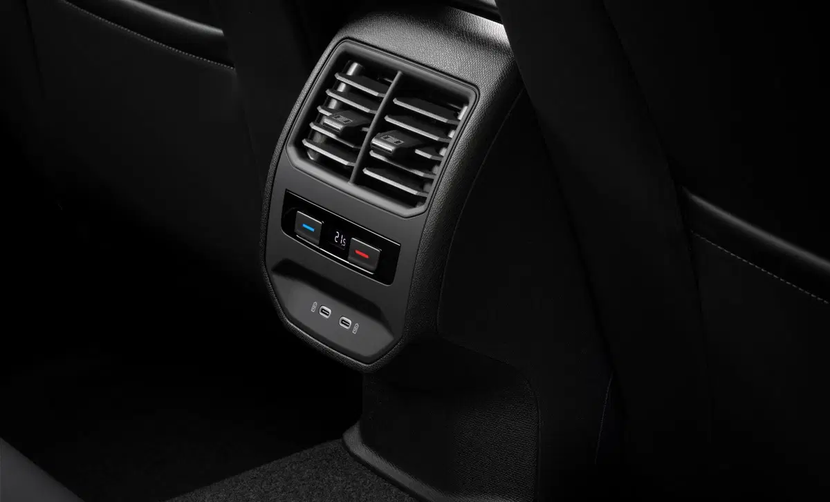 Cupra Leon Leon 2.0 tdi 150cv dsg (38)