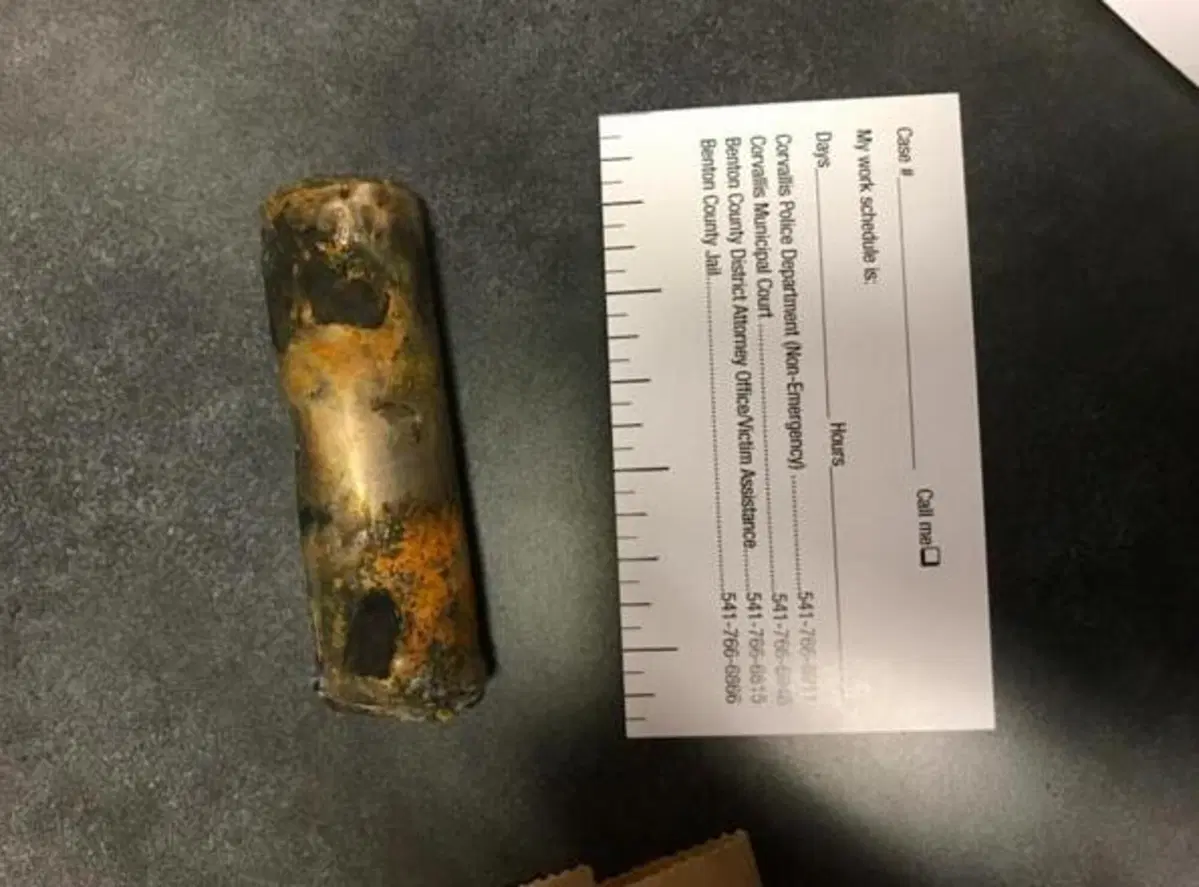 Si schianta con la Tesla e le celle del pacco batterie volano ovunque, incendiando una casa (3)