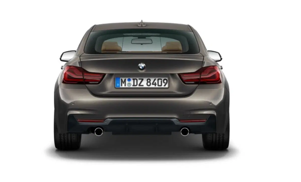 BMW Serie 4 Gran Coupé 420d xDrive  Advantage (5)