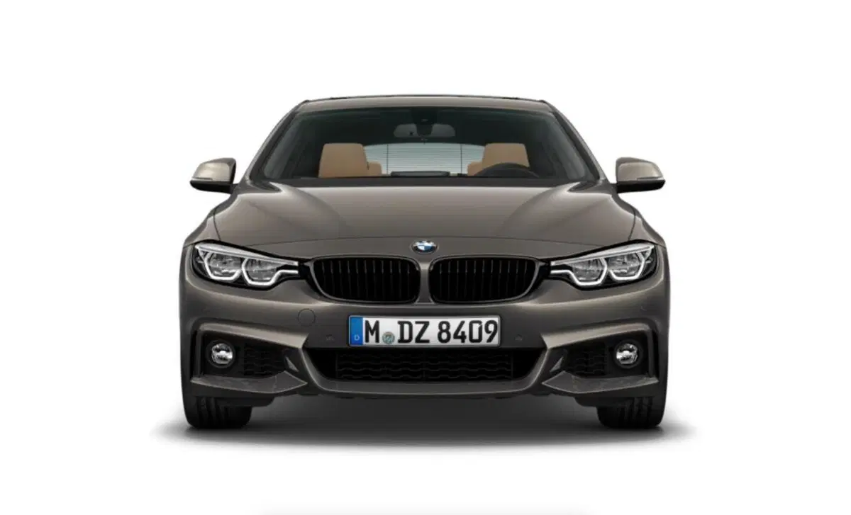BMW Serie 4 Gran Coupé 420d xDrive  Advantage (3)