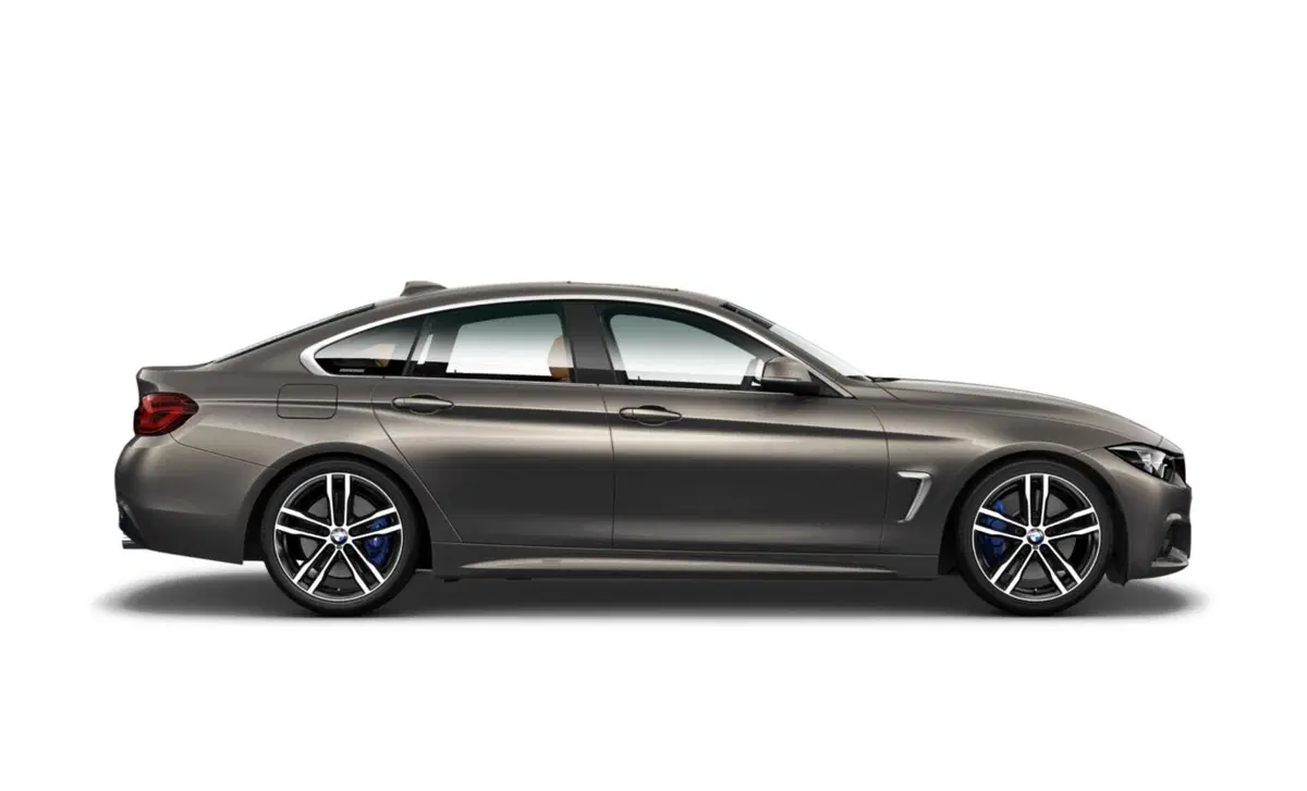 BMW Serie 4 Gran Coupé 420d xDrive  Advantage (2)