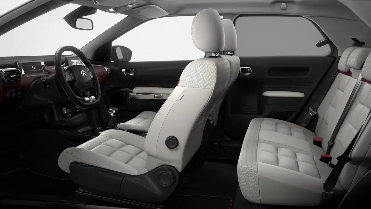 Citroen C4 Cactus 1.2 e-VTi 82 ETG Feel (14)