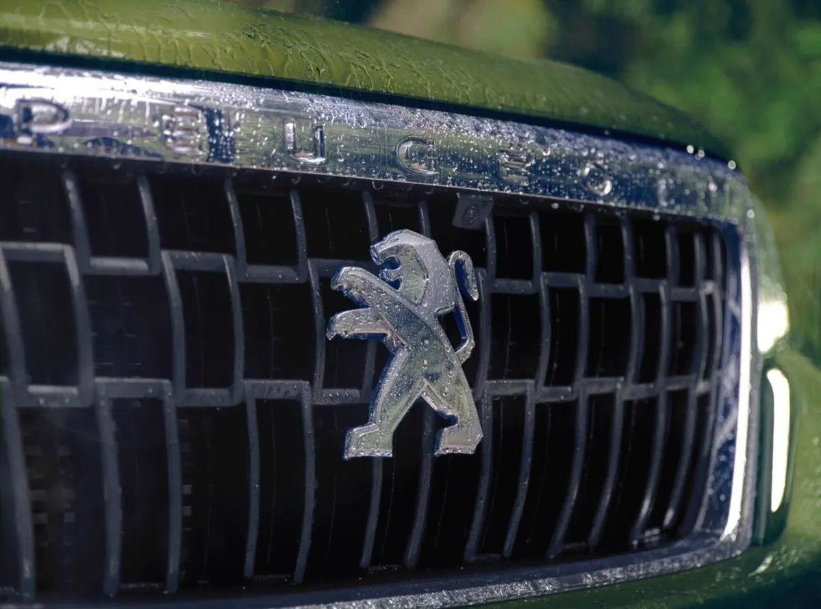 Peugeot Landtrek, in America il Leone ha il suo pick-up (9)