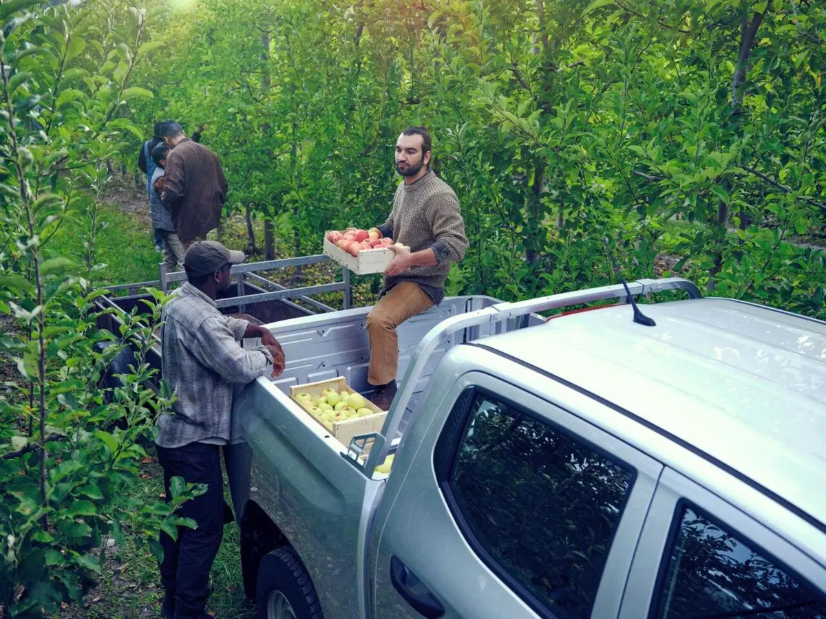 Peugeot Landtrek, in America il Leone ha il suo pick-up (21)