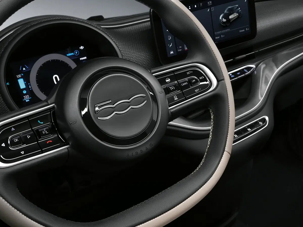 Fiat 500 Cabrio 2020  (11)