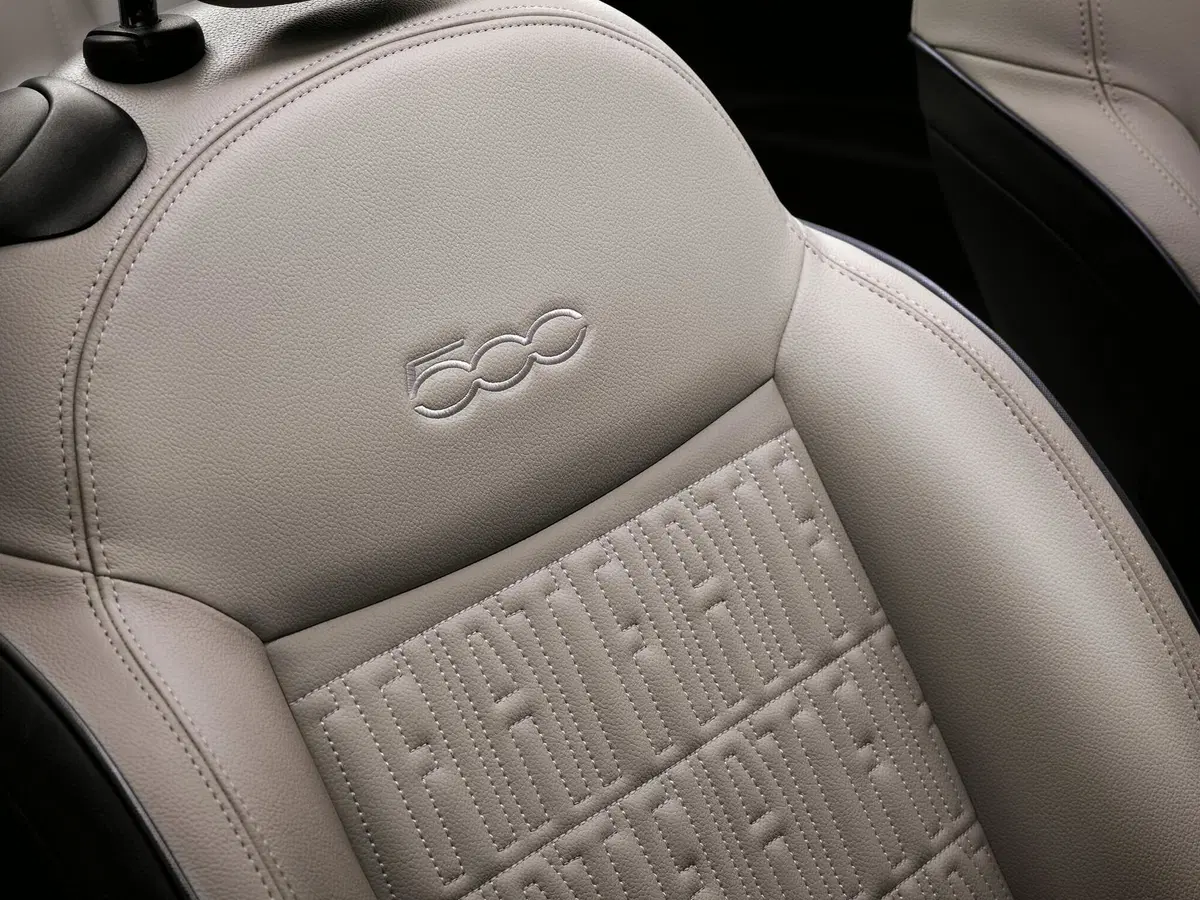 Fiat 500 Cabrio 2020  (13)