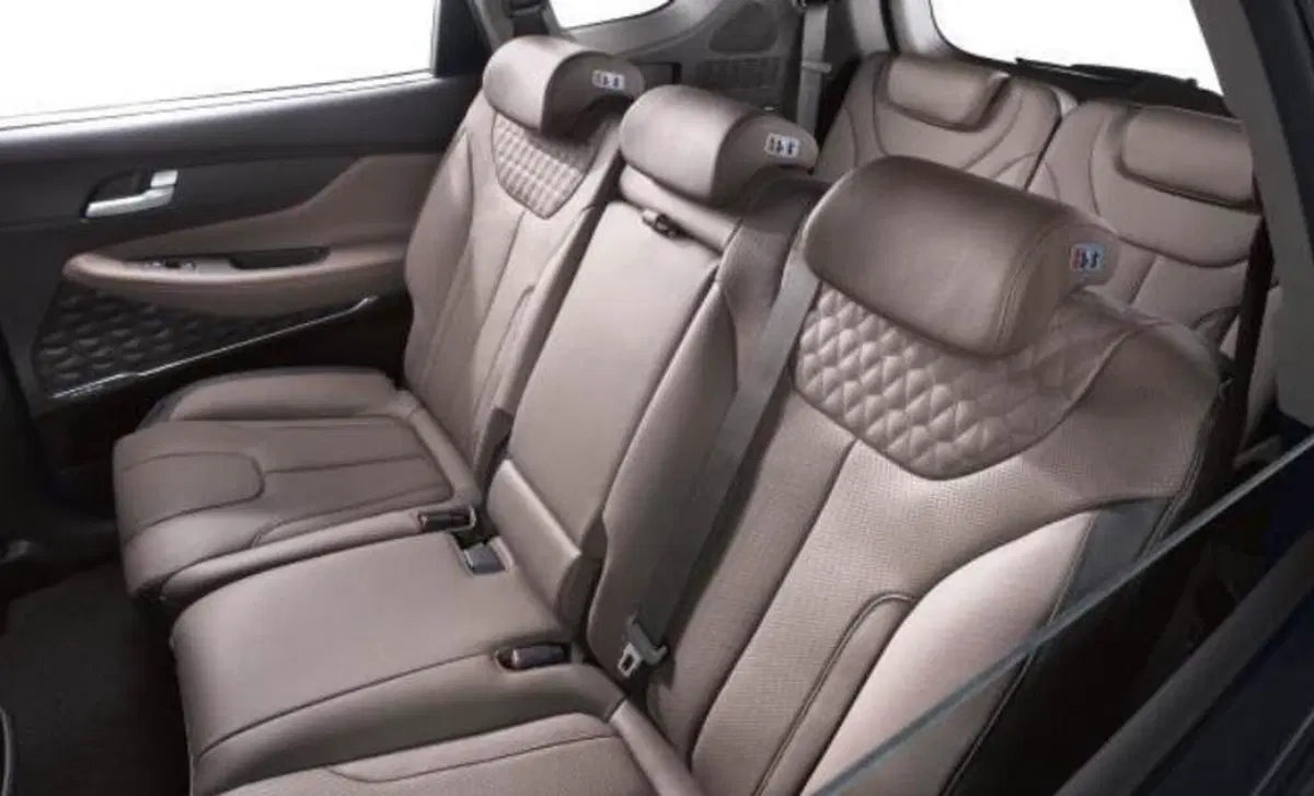 Hyundai Santa Fe (2018-22) (13)