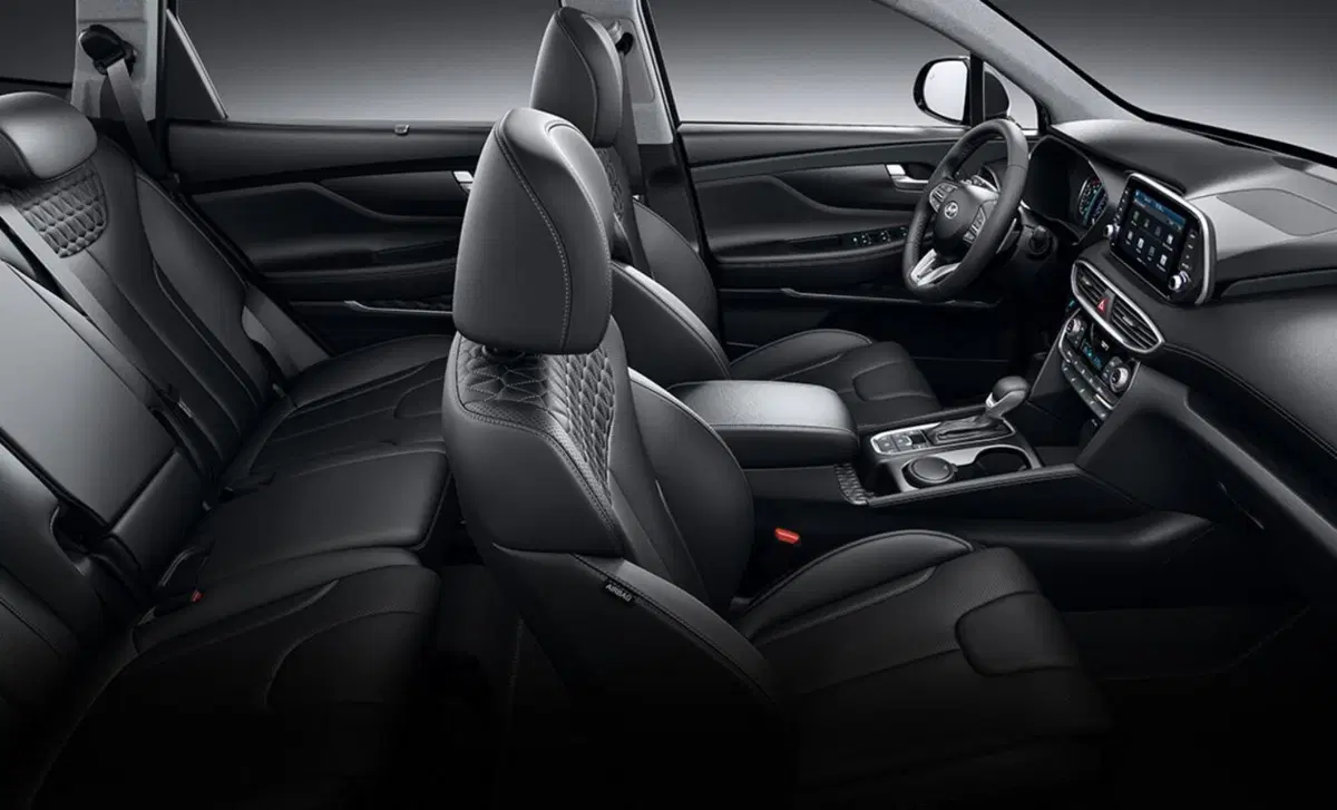 Hyundai Santa Fe (2018-22) (15)