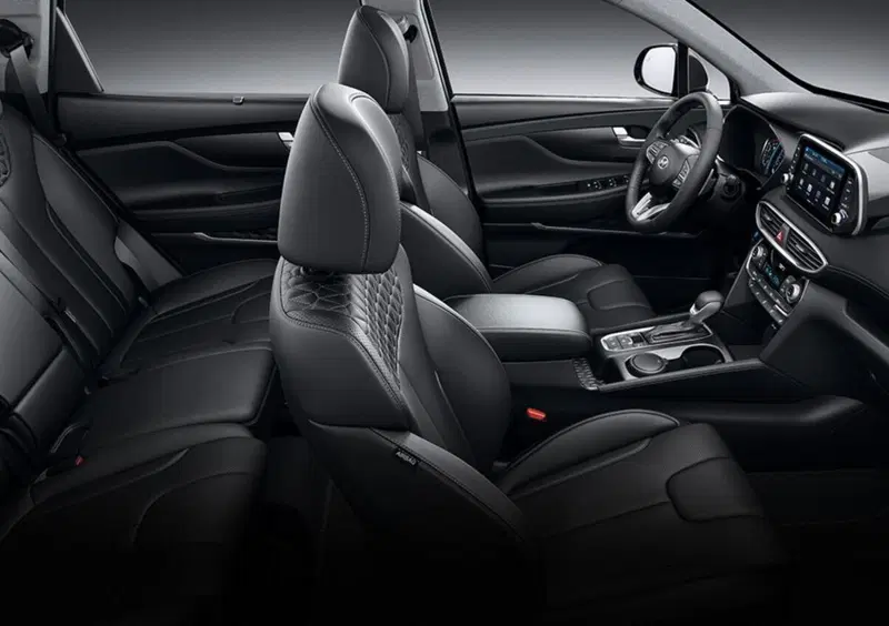 Hyundai Santa Fe (2018-22) (15)