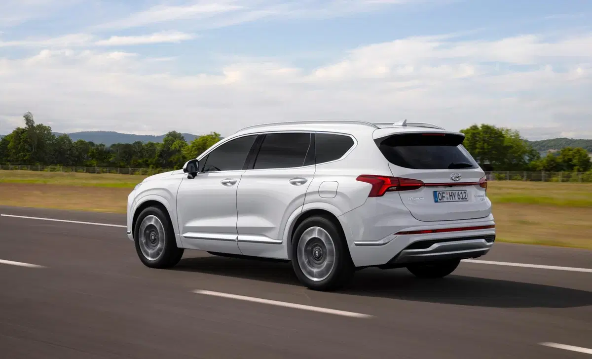 Hyundai Santa Fe (2018-22) (4)