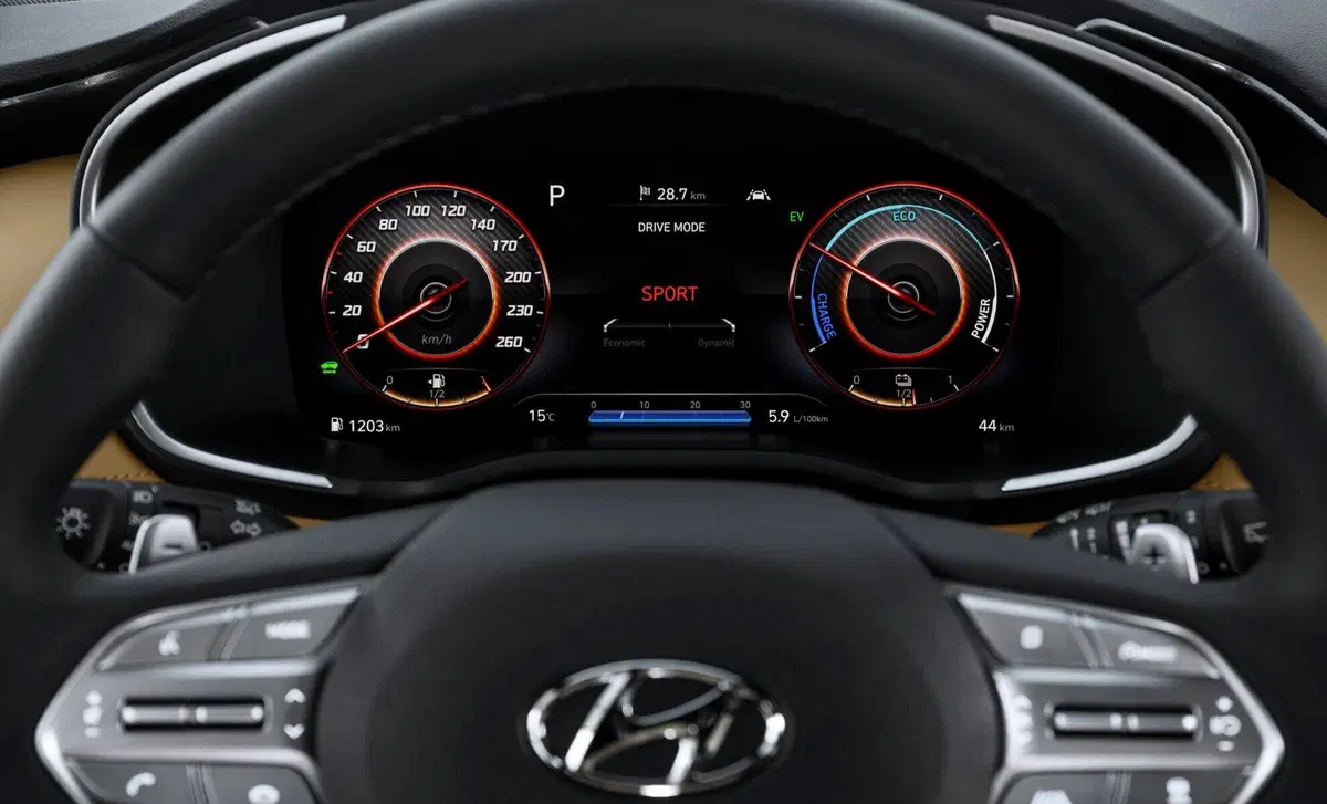 Hyundai Santa Fe (2018-22) (11)