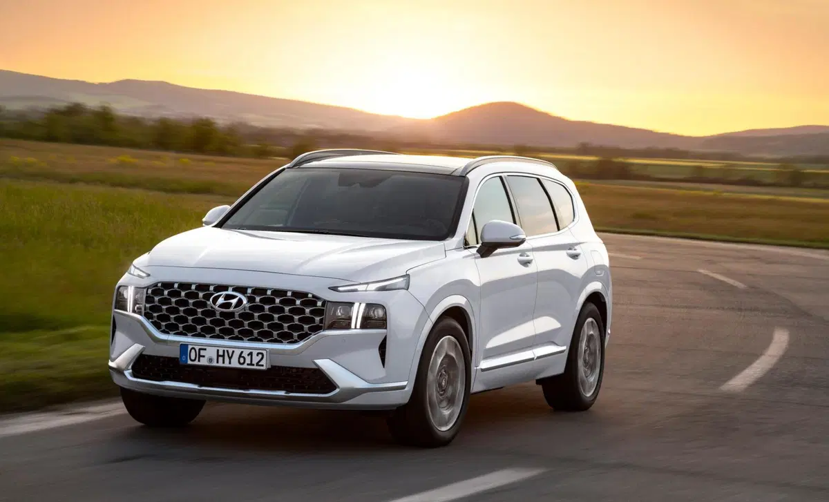 Hyundai Santa Fe (2018-22) (6)