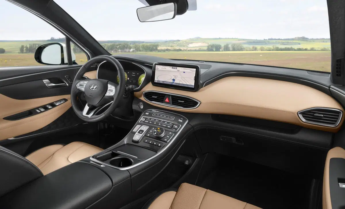 Hyundai Santa Fe (2018-22) (17)
