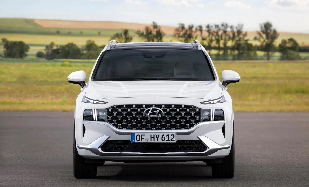 Hyundai Santa Fe (2018-22) (3)