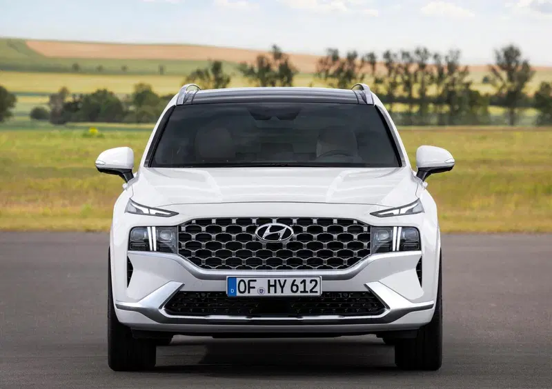 Hyundai Santa Fe (2018-22) (3)
