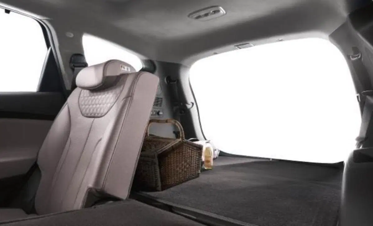 Hyundai Santa Fe (2018-22) (14)