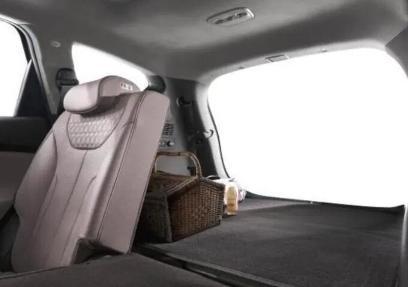 Hyundai Santa Fe (2018-22) (14)