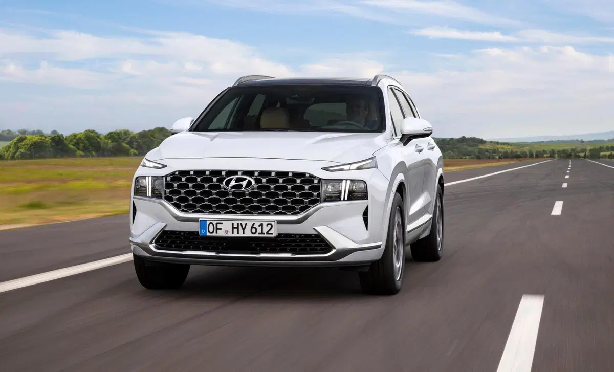 Hyundai Santa Fe (2018-22) (9)