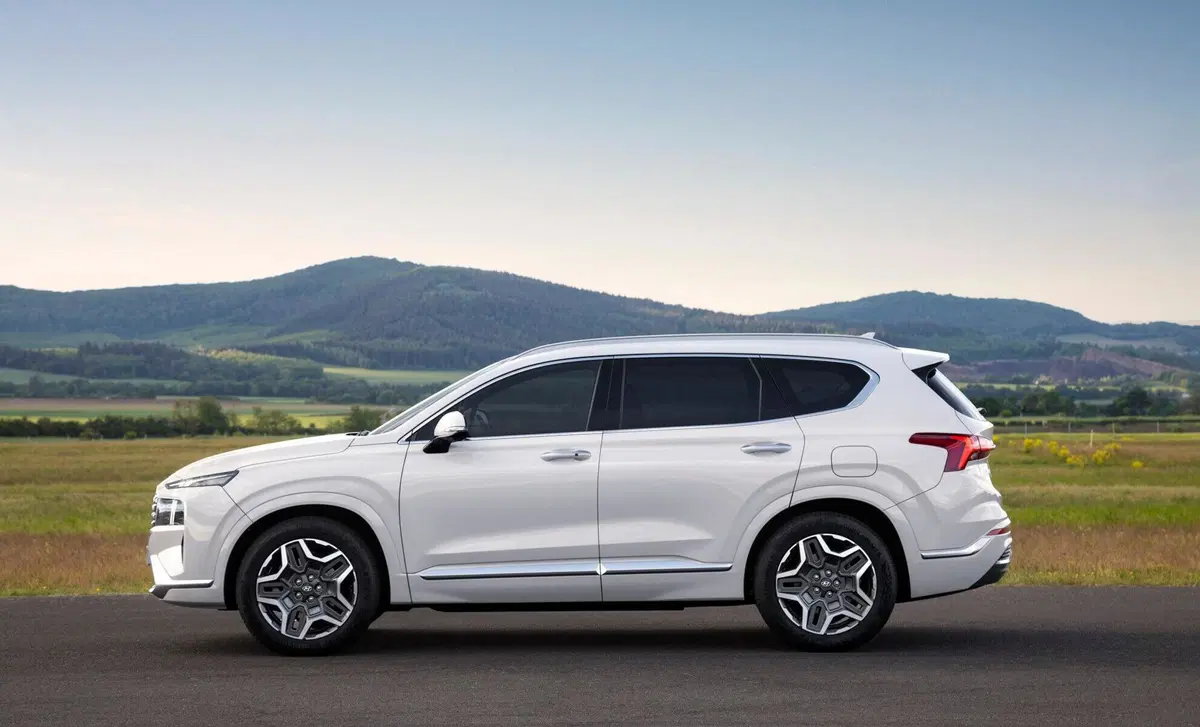 Hyundai Santa Fe (2018-22) (2)