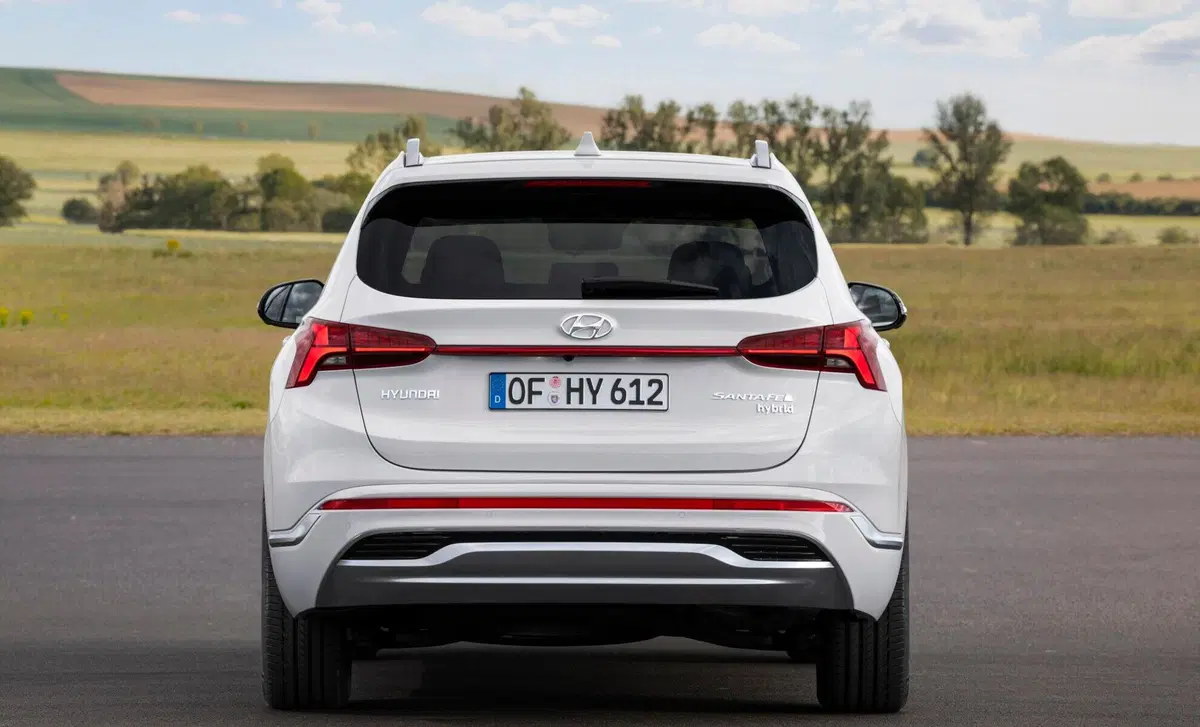 Hyundai Santa Fe (2018-22) (5)