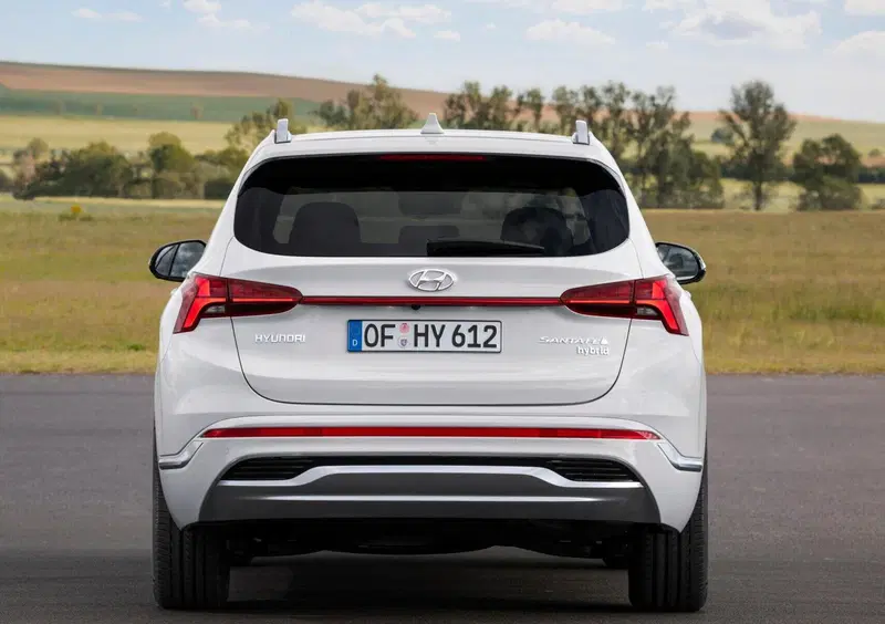 Hyundai Santa Fe (2018-22) (5)