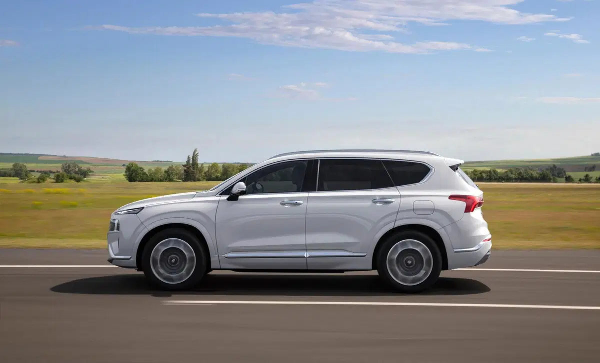 Hyundai Santa Fe (2018-22) (8)
