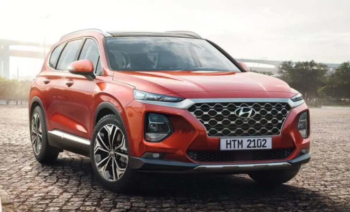 Hyundai Santa Fe (2018-22) (10)