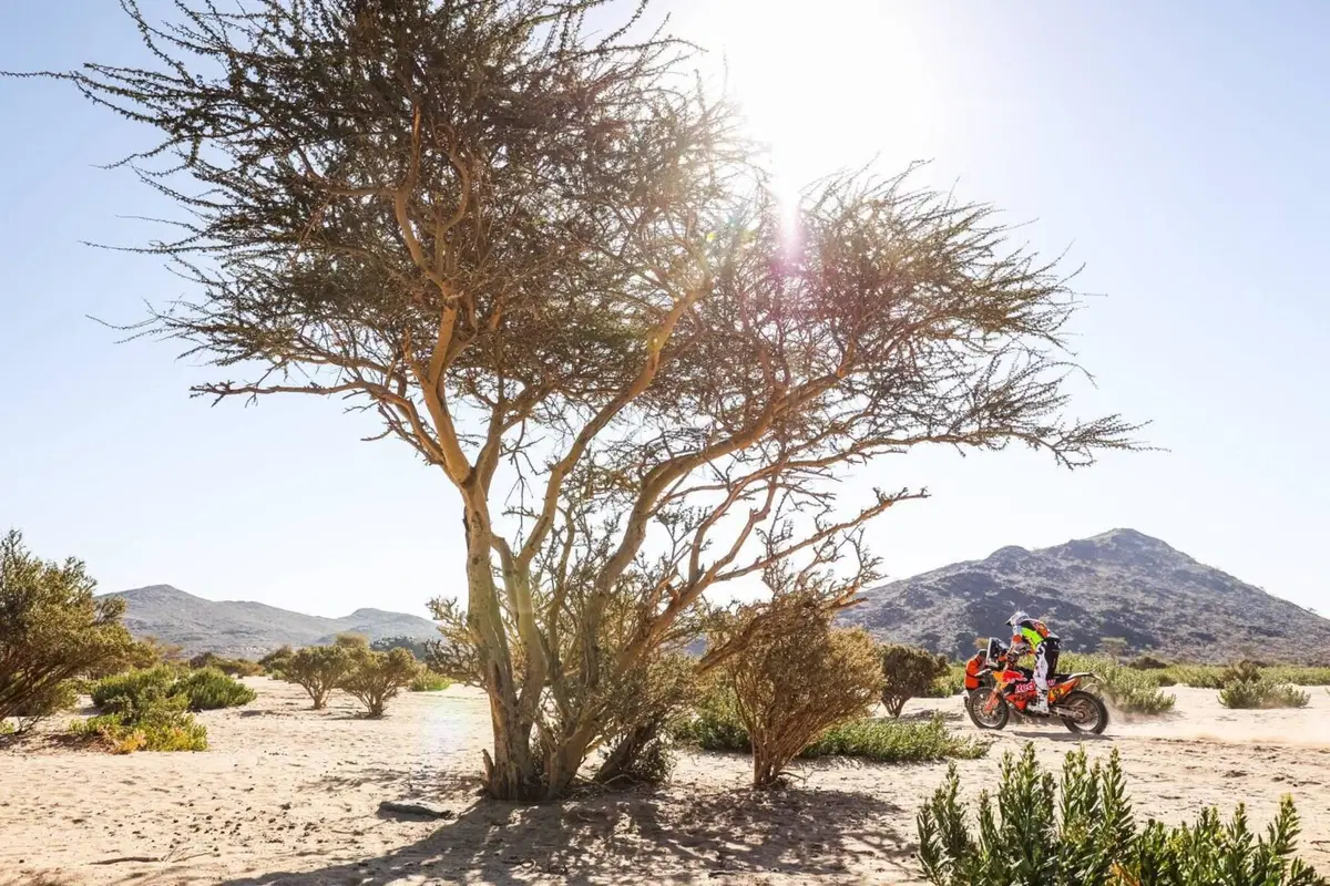 Dakar 2021. 1a Tappa. Labirinto Bisha. Salgono Price, KTM, e Sainz, Mini (30)