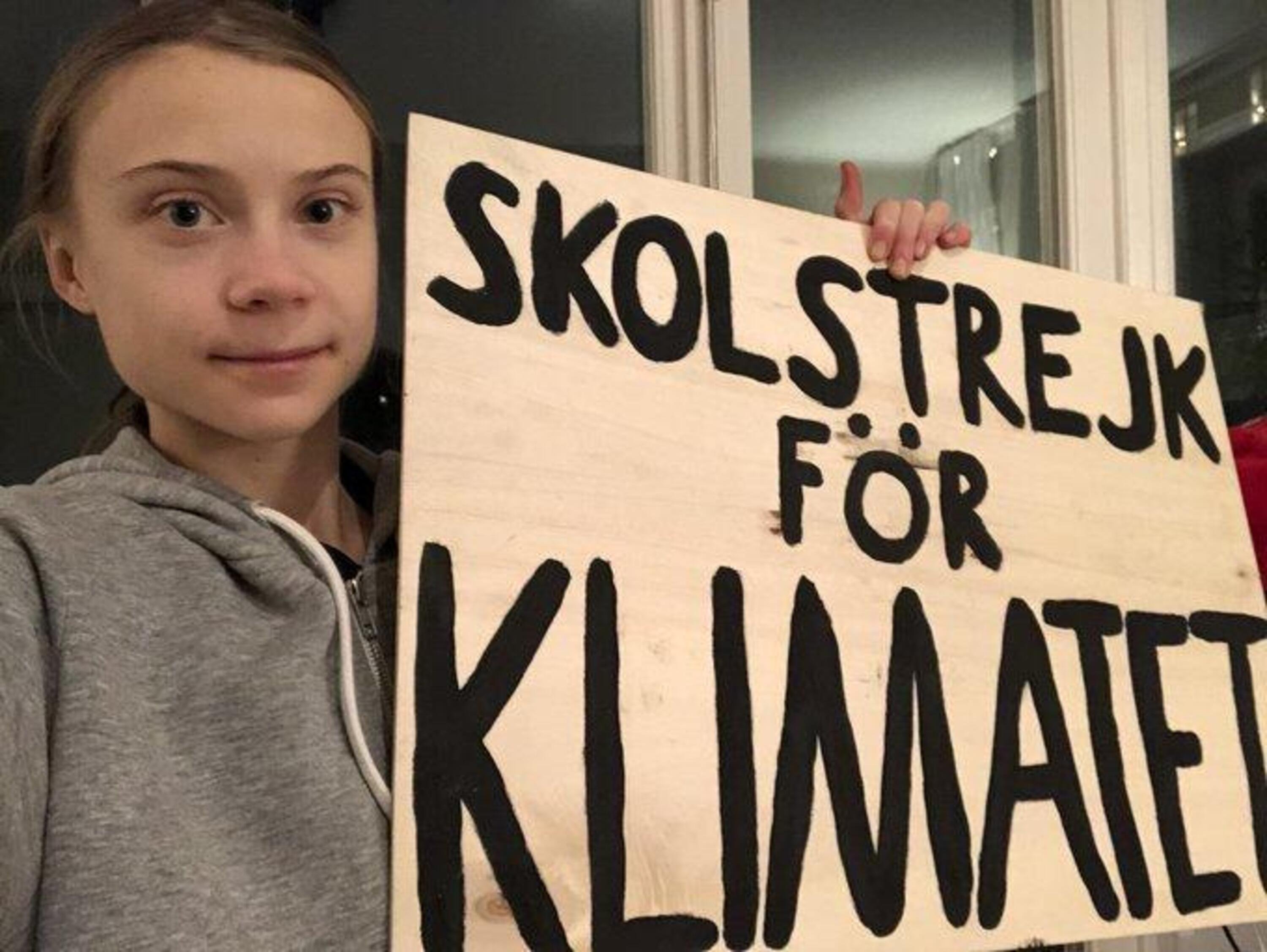 Greta Thunberg compie 18 anni e siede su auto elettriche. I nostri neopatentati cosa possono sognare?