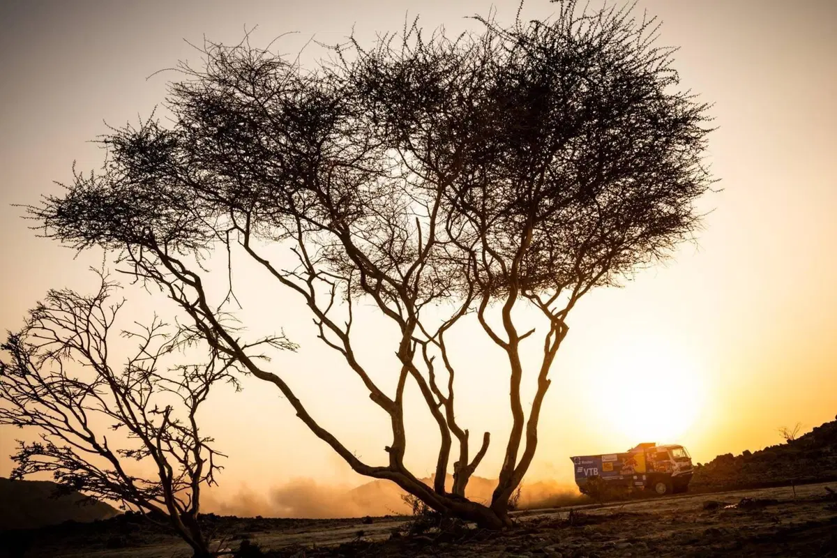 Dakar 2021. Riposo. Il Punto a Metà di un Magnifico Rally (tutto ancora da scrivere) (18)